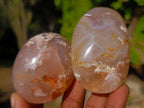 Polished Flower Agate Palm Stones x 12 From Antsahalova, Madagascar - Toprock Gemstones and Minerals 