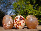 Polished Flower Agate Palm Stones x 12 From Antsahalova, Madagascar - Toprock Gemstones and Minerals 