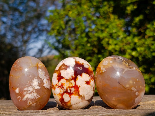 Polished Flower Agate Palm Stones x 12 From Antsahalova, Madagascar - Toprock Gemstones and Minerals 