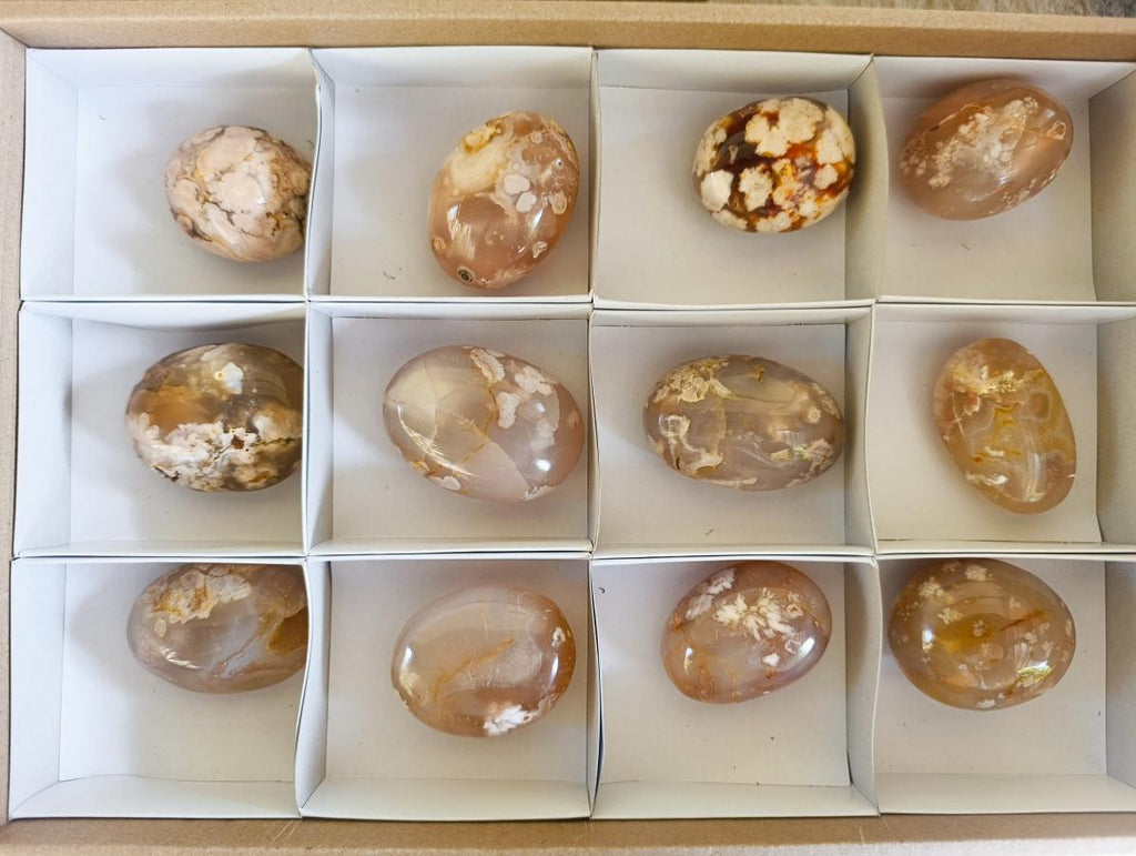 Polished Flower Agate Palm Stones x 12 From Antsahalova, Madagascar - Toprock Gemstones and Minerals 