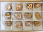 Polished Flower Agate Palm Stones x 12 From Antsahalova, Madagascar - Toprock Gemstones and Minerals 
