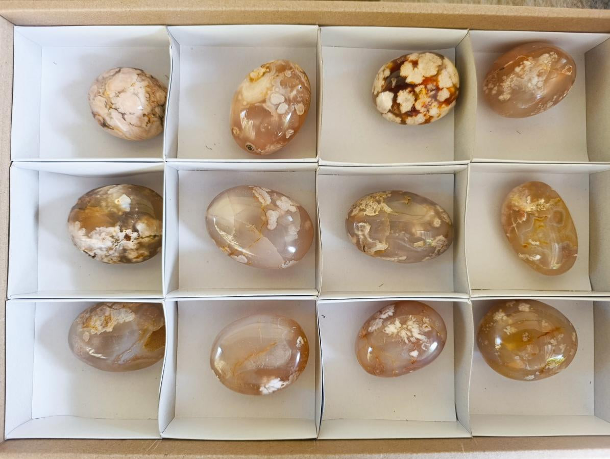 Polished Flower Agate Palm Stones x 12 From Antsahalova, Madagascar - Toprock Gemstones and Minerals 