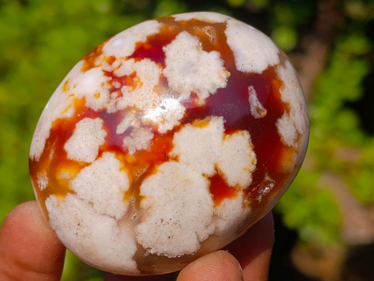 Polished Flower Agate Palm Stones x 12 From Antsahalova, Madagascar - Toprock Gemstones and Minerals 