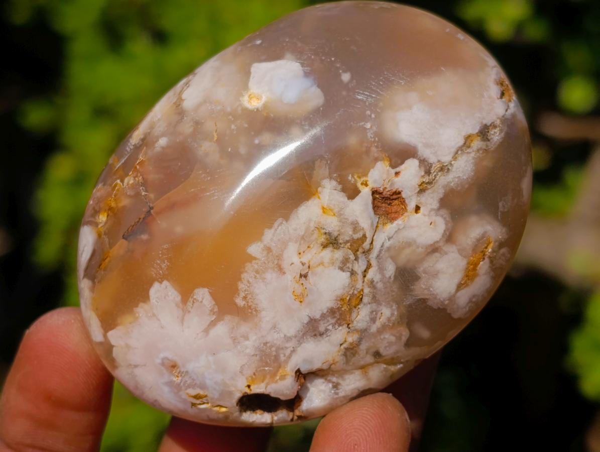 Polished Flower Agate Palm Stones x 12 From Antsahalova, Madagascar - Toprock Gemstones and Minerals 