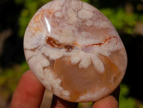 Polished Flower Agate Palm Stones x 12 From Antsahalova, Madagascar - Toprock Gemstones and Minerals 