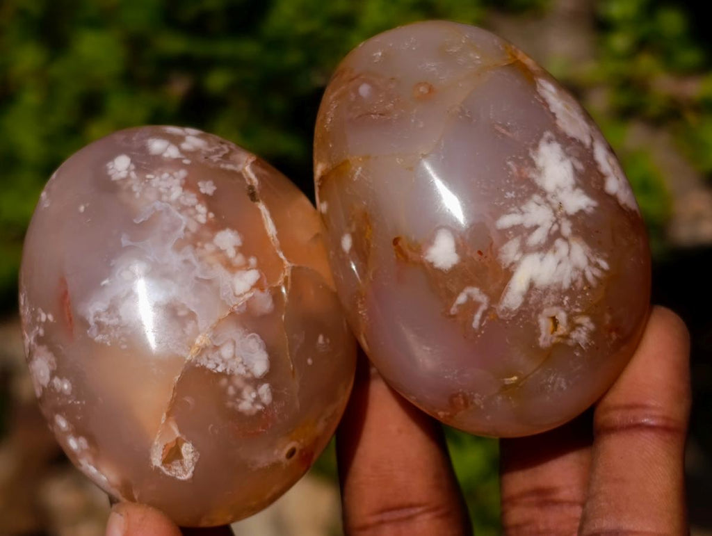 Polished Flower Agate Palm Stones x 12 From Antsahalova, Madagascar - Toprock Gemstones and Minerals 