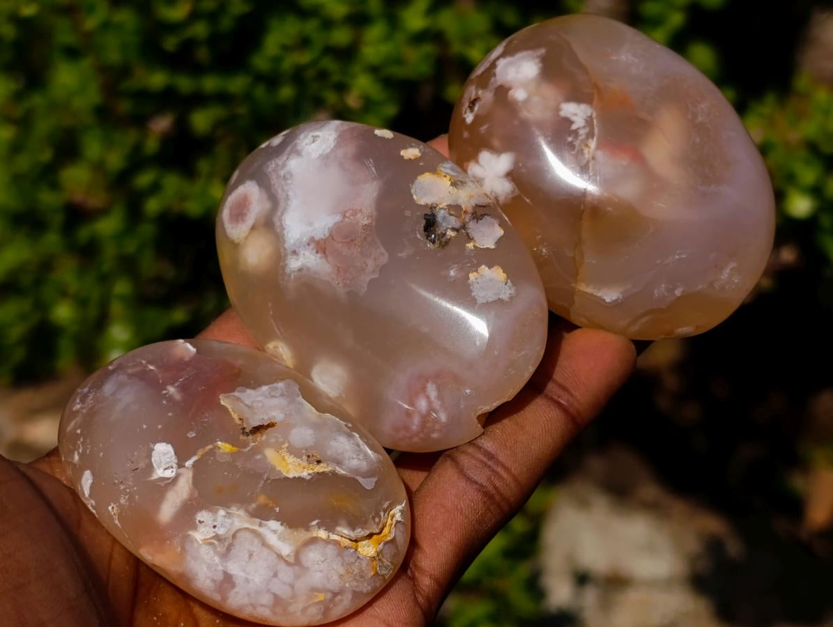 Polished Flower Agate Palm Stones x 12 From Antsahalova, Madagascar - Toprock Gemstones and Minerals 
