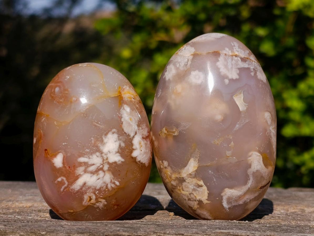 Polished Flower Agate Palm Stones x 12 From Antsahalova, Madagascar - Toprock Gemstones and Minerals 