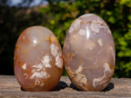 Polished Flower Agate Palm Stones x 12 From Antsahalova, Madagascar - Toprock Gemstones and Minerals 