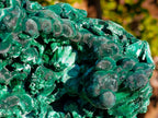 Natural Large Cabinet Size Silky Malachite Specimen x 1 From Kasompe, Congo - Toprock Gemstones and Minerals 