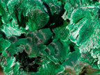 Natural Large Cabinet Size Silky Malachite Specimen x 1 From Kasompe, Congo - Toprock Gemstones and Minerals 