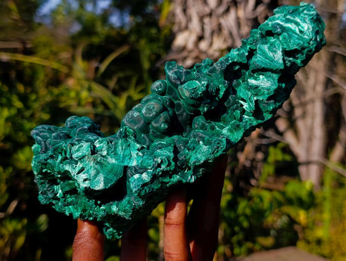 Natural Large Cabinet Size Silky Malachite Specimen x 1 From Kasompe, Congo - Toprock Gemstones and Minerals 