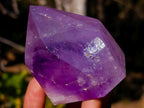 Polished Smokey Window Amethyst Crystals x 4 From Akansobe, Madagascar - Toprock Gemstones and Minerals 