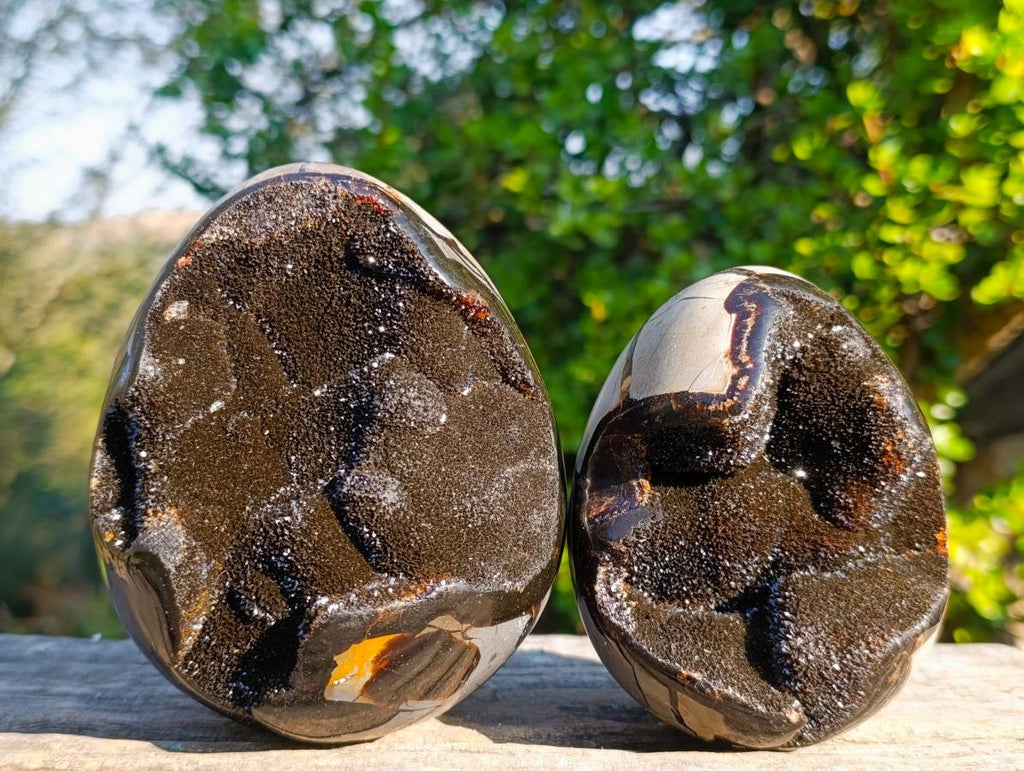 Polished Septerye Sauvage "Dragons Egg" Geodes x 2 From Mahajanga, Madagascar - Toprock Gemstones and Minerals 