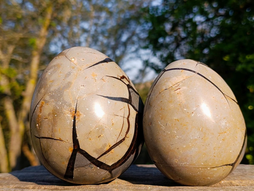 Polished Septerye Sauvage "Dragons Egg" Geodes x 2 From Mahajanga, Madagascar - Toprock Gemstones and Minerals 
