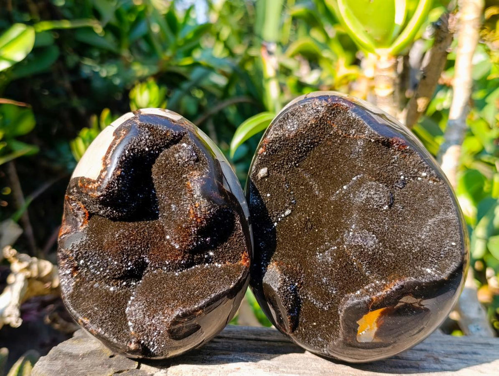Polished Septerye Sauvage "Dragons Egg" Geodes x 2 From Mahajanga, Madagascar - Toprock Gemstones and Minerals 