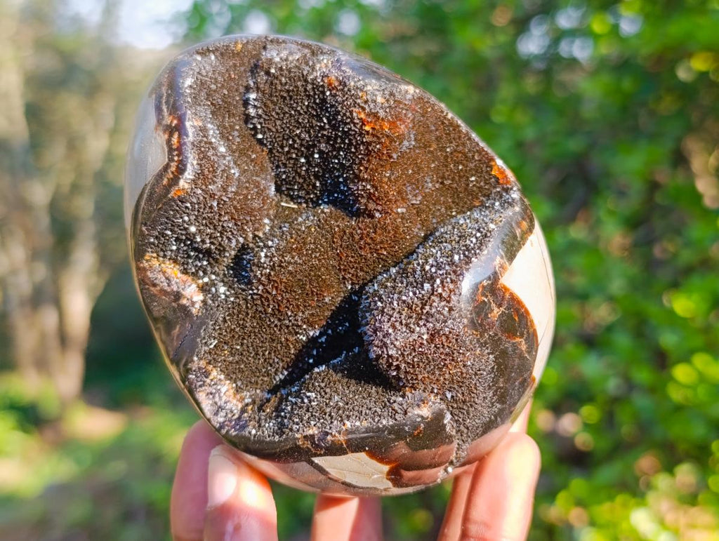 Polished Septerye Sauvage "Dragons Egg" Geodes x 2 From Mahajanga, Madagascar - Toprock Gemstones and Minerals 