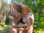 Polished Septerye Sauvage "Dragons Egg" Geodes x 2 From Mahajanga, Madagascar - Toprock Gemstones and Minerals 