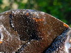 Polished Septerye Sauvage "Dragons Egg" Geodes x 2 From Mahajanga, Madagascar - Toprock Gemstones and Minerals 
