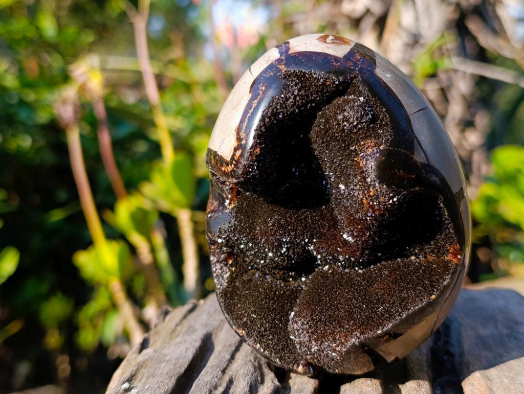 Polished Septerye Sauvage "Dragons Egg" Geodes x 2 From Mahajanga, Madagascar - Toprock Gemstones and Minerals 