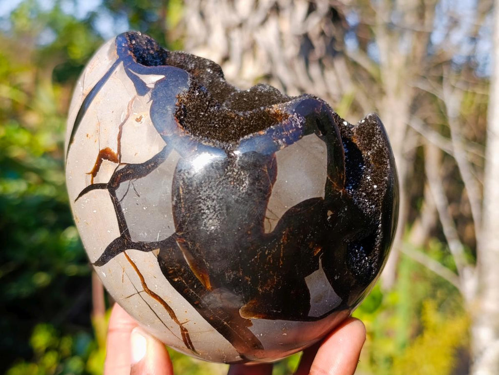 Polished Septerye Sauvage "Dragons Egg" Geodes x 2 From Mahajanga, Madagascar - Toprock Gemstones and Minerals 