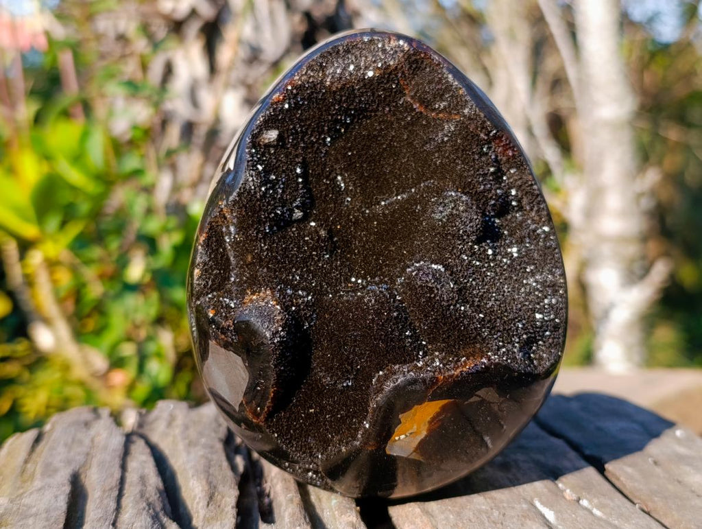Polished Septerye Sauvage "Dragons Egg" Geodes x 2 From Mahajanga, Madagascar - Toprock Gemstones and Minerals 