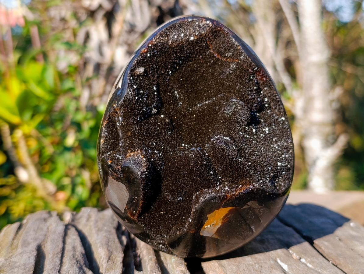 Polished Septerye Sauvage "Dragons Egg" Geodes x 2 From Mahajanga, Madagascar - Toprock Gemstones and Minerals 