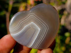 Polished Banded Agate Hearts x 24 From Madagascar - Toprock Gemstones and Minerals 