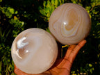Polished Large Banded Agate Spheres x 2 From Madagascar - Toprock Gemstones and Minerals 