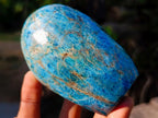 Polished Blue Apatite Standing Display Pieces x 4 From Betroka, Madagascar - Toprock Gemstones and Minerals 