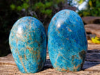 Polished Blue Apatite Standing Display Pieces x 4 From Betroka, Madagascar - Toprock Gemstones and Minerals 