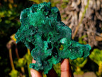 Natural Cabinet Size Silky Malachite Specimens x 6 From Kasompe, Congo - Toprock Gemstones and Minerals 