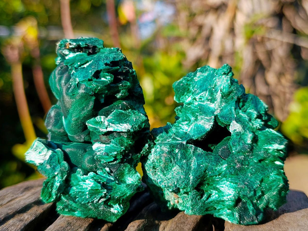 Natural Cabinet Size Silky Malachite Specimens x 6 From Kasompe, Congo - Toprock Gemstones and Minerals 