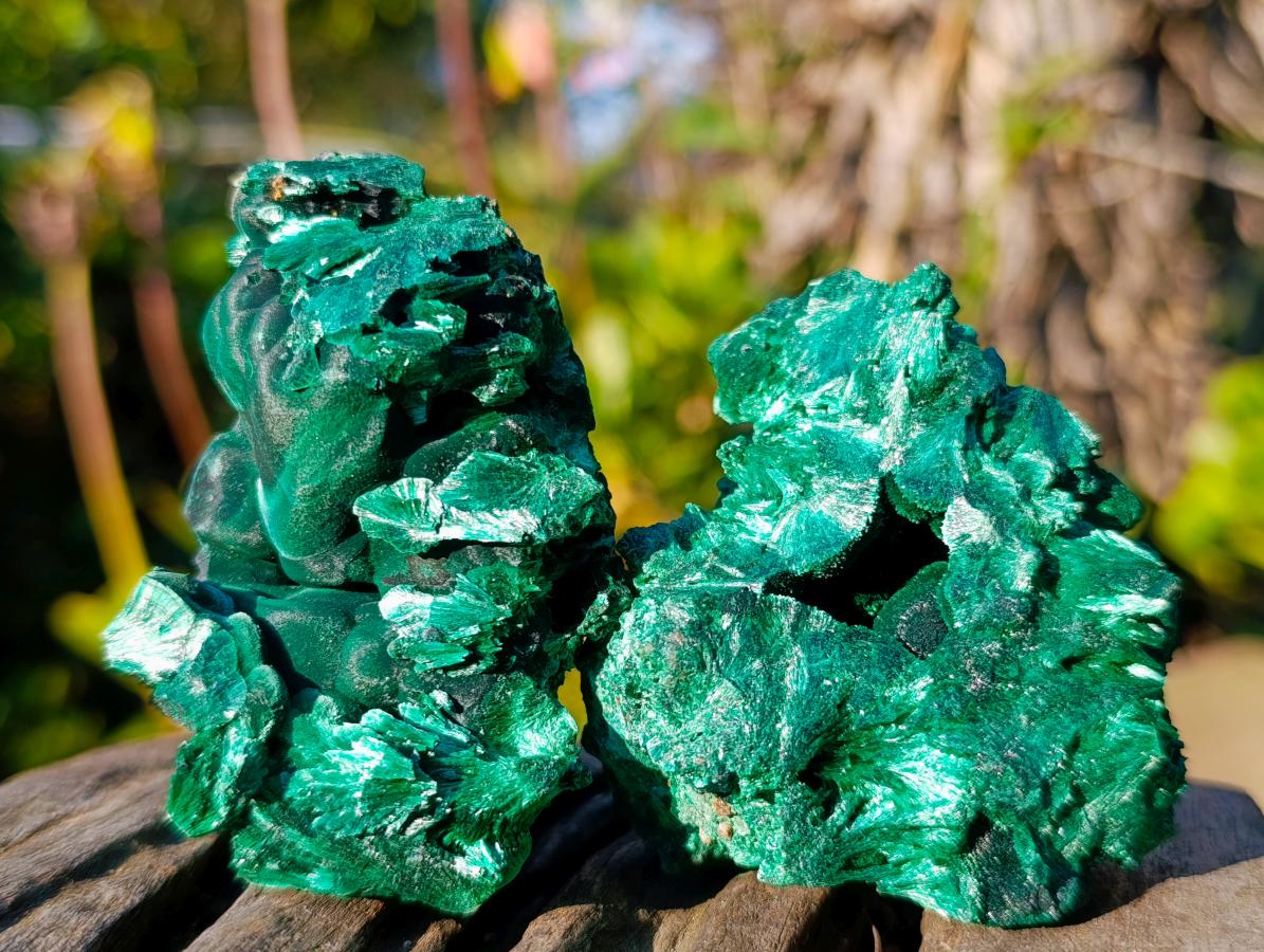 Natural Cabinet Size Silky Malachite Specimens x 6 From Kasompe, Congo - Toprock Gemstones and Minerals 