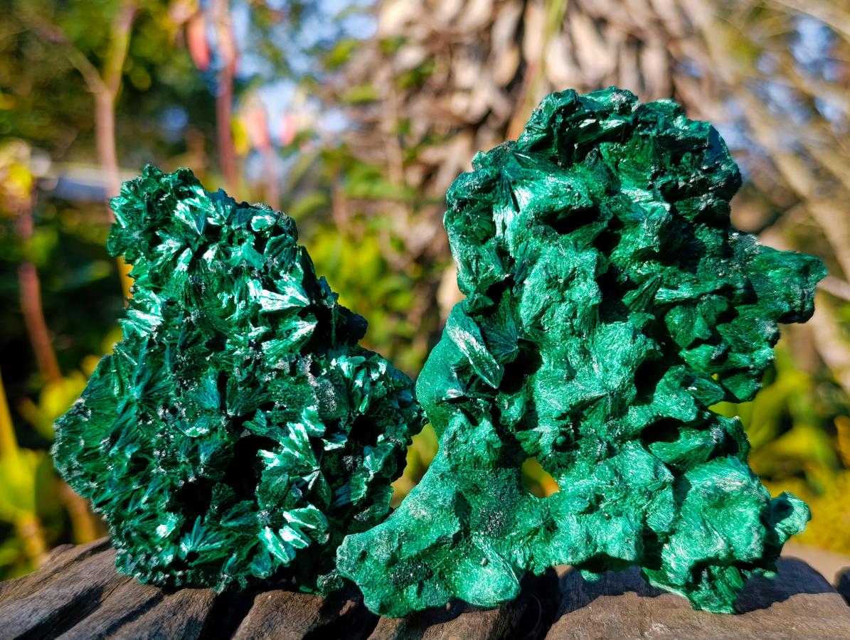 Natural Cabinet Size Silky Malachite Specimens x 6 From Kasompe, Congo - Toprock Gemstones and Minerals 