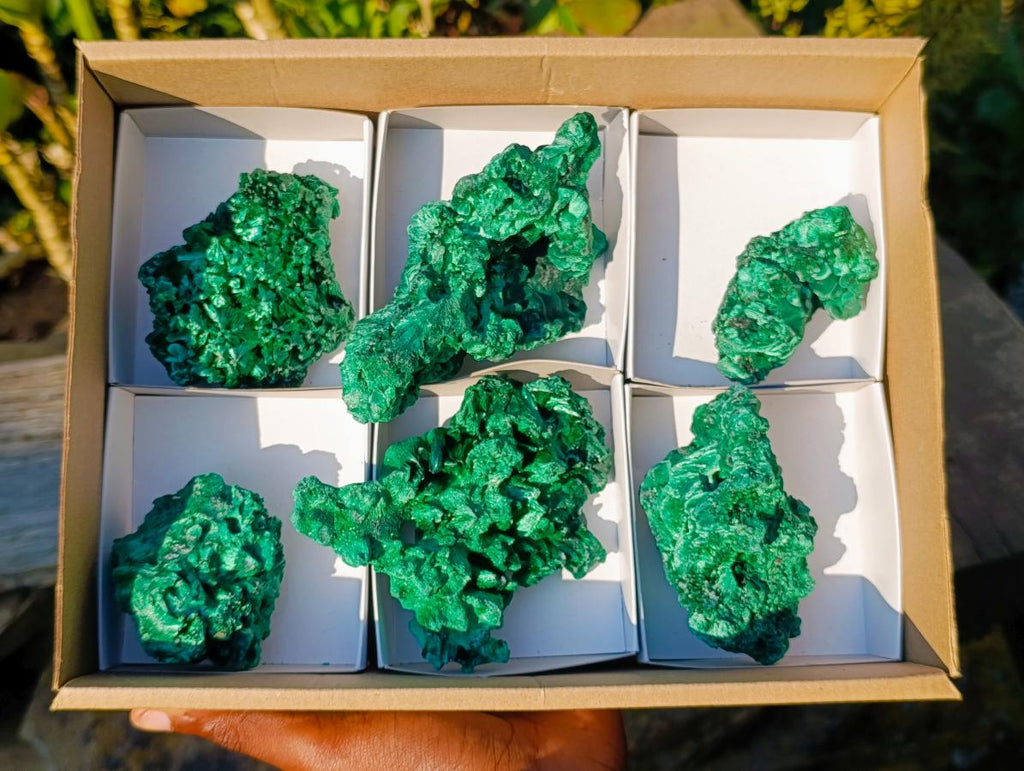 Natural Cabinet Size Silky Malachite Specimens x 6 From Kasompe, Congo - Toprock Gemstones and Minerals 
