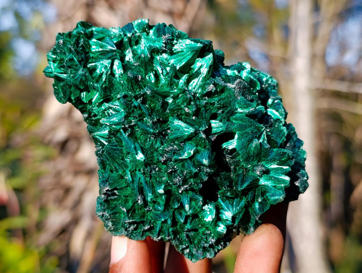 Natural Cabinet Size Silky Malachite Specimens x 6 From Kasompe, Congo - Toprock Gemstones and Minerals 