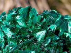 Natural Cabinet Size Silky Malachite Specimens x 6 From Kasompe, Congo - Toprock Gemstones and Minerals 