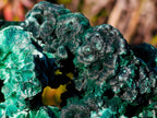 Natural Cabinet Size Silky Malachite Specimens x 6 From Kasompe, Congo - Toprock Gemstones and Minerals 