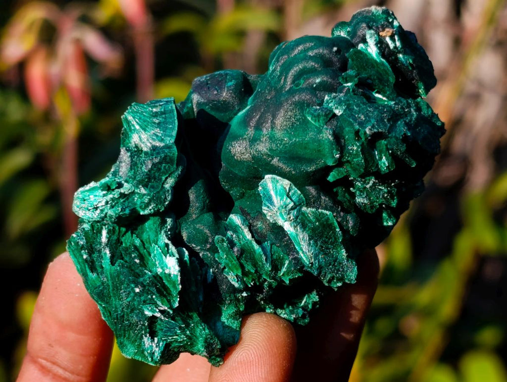 Natural Cabinet Size Silky Malachite Specimens x 6 From Kasompe, Congo - Toprock Gemstones and Minerals 