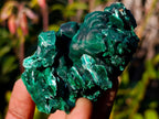 Natural Cabinet Size Silky Malachite Specimens x 6 From Kasompe, Congo - Toprock Gemstones and Minerals 