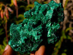 Natural Cabinet Size Silky Malachite Specimens x 6 From Kasompe, Congo - Toprock Gemstones and Minerals 