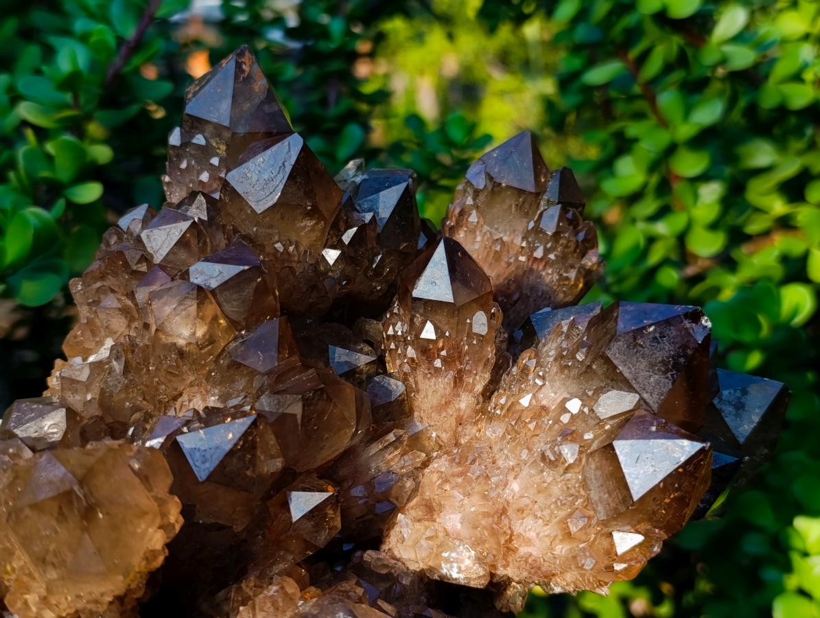 Natural Large Dark Smokey Citrine Quartz Cluster with Phantoms x 1 From Luena, Congo - Toprock Gemstones and Minerals 