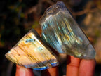 Polished One Side Labradorite Specimens x 70 From Madagascar - Toprock Gemstones and Minerals 