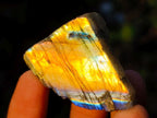 Polished One Side Labradorite Specimens x 70 From Madagascar - Toprock Gemstones and Minerals 
