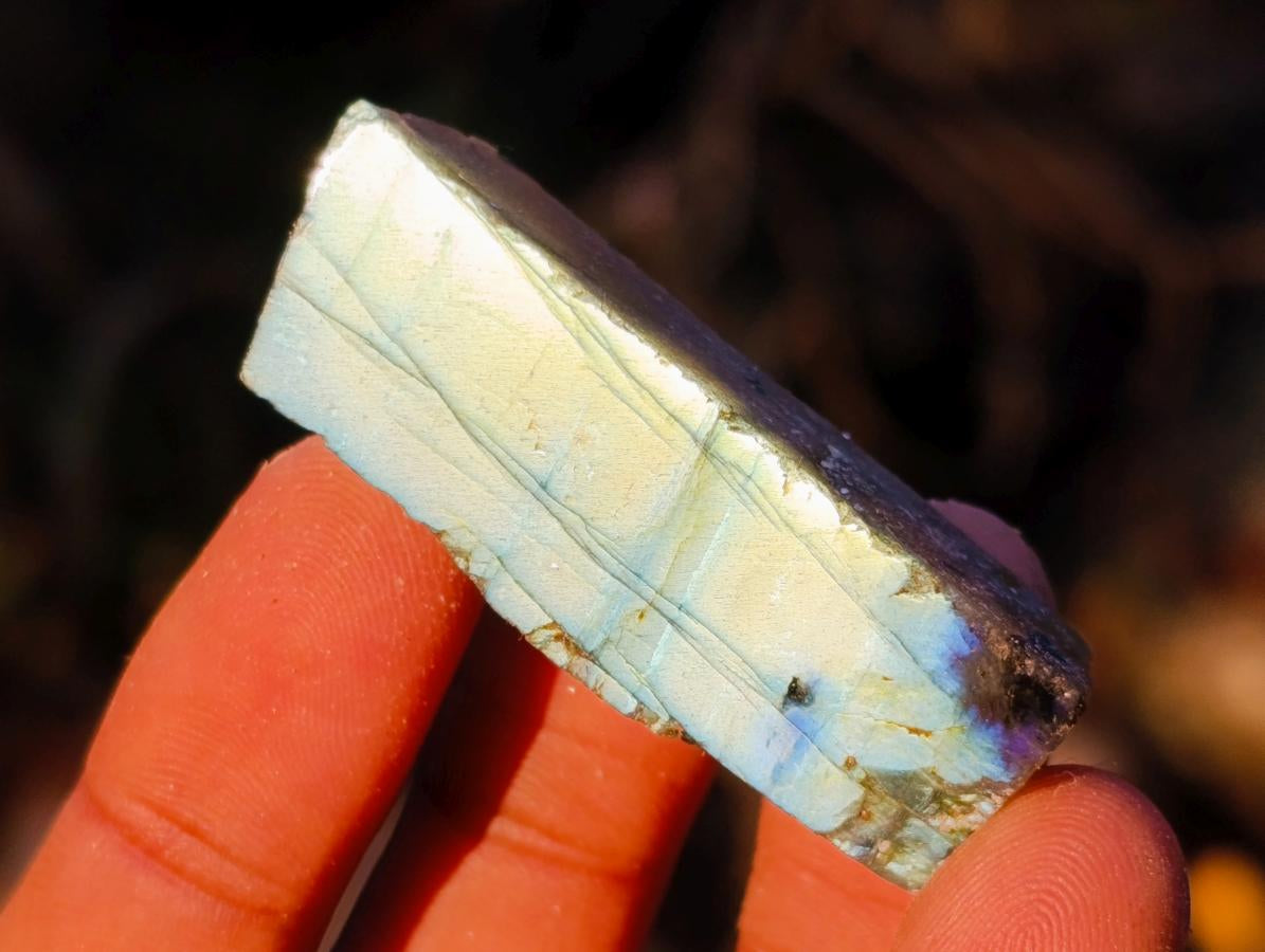 Polished One Side Labradorite Specimens x 70 From Madagascar - Toprock Gemstones and Minerals 