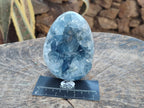 Polished Blue Celestite Eggs x 2 From Sakoany, Madagascar - Toprock Gemstones and Minerals 