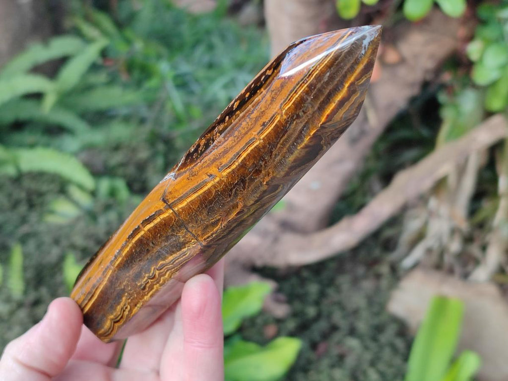 Polished Golden Tigers Eye Display Crystals x 4 From Prieska, South Africa - Toprock Gemstones and Minerals 
