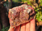 Natural Rhodonite Cobbed Specimens x 5 From Rhusinga, Zimbabwe - Toprock Gemstones and Minerals 