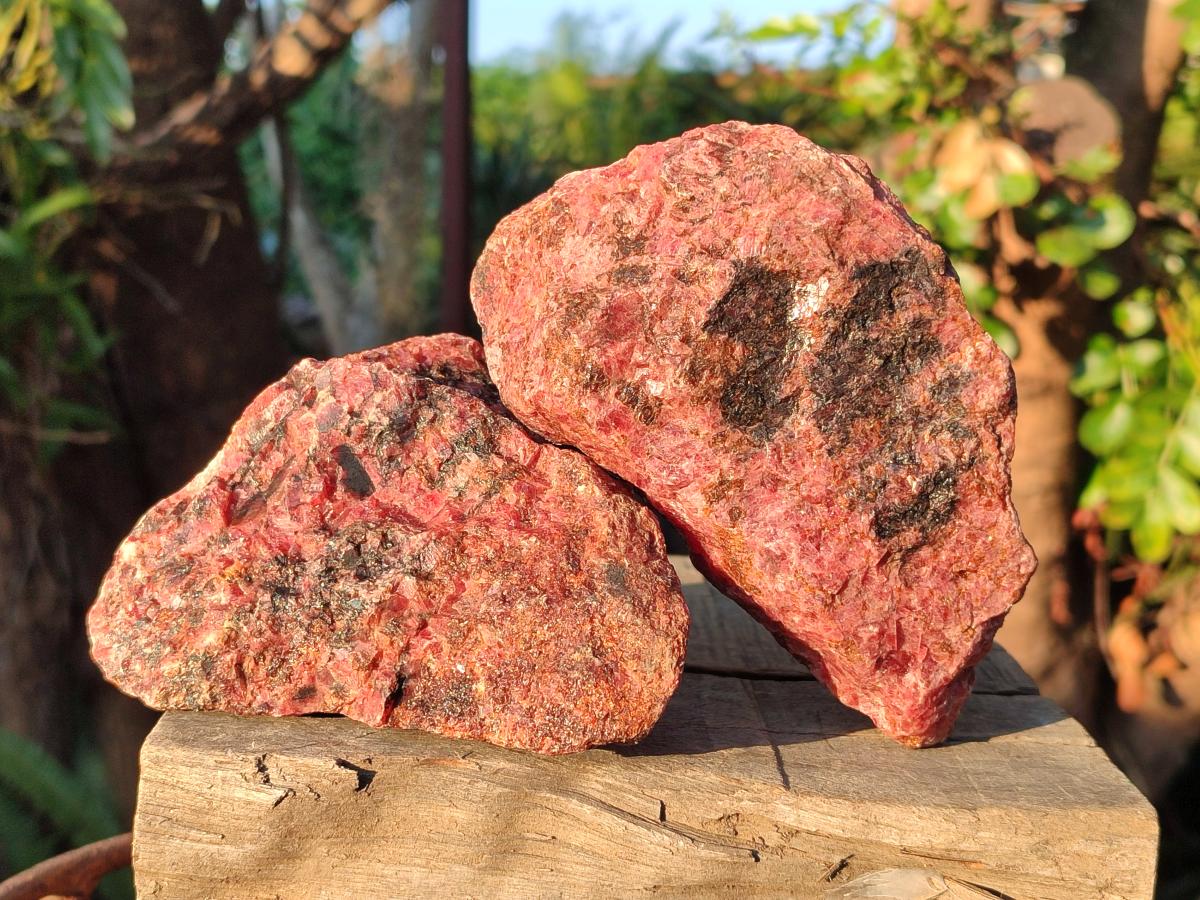 Natural Rhodonite Cobbed Specimens x 5 From Rhusinga, Zimbabwe - Toprock Gemstones and Minerals 
